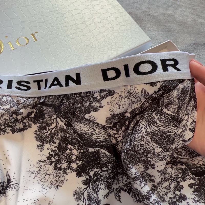 CHRISTIAN DIOR